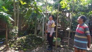 Polsek Kuripan Gandeng Warga Dusun Beremi Tingkatkan Kemandirian Pangan