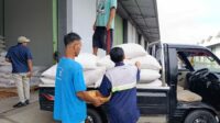 IMG-20250930-WA1037 Bulog Mataram Serap 3,4 Ton Jagung Petani Gerung dengan Pengawalan Polisi