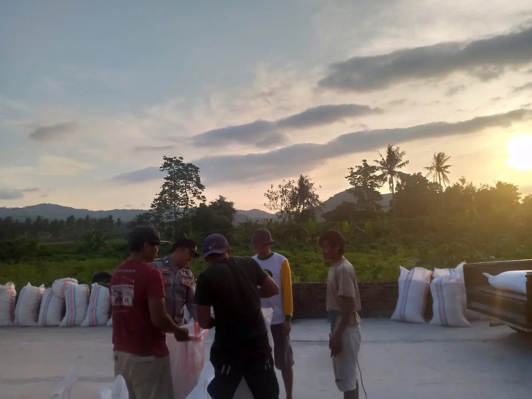 Jagung Petani Gerung Lolos Uji Kualitas, Siap Diserap Bulog NTB
