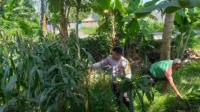 WhatsApp Image 2025-10-19 at 10.12.46_result Sinergi Polri dan Petani di Lombok Barat Perkuat Kemandirian Pangan
