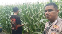Bhabinkamtibmas Turun ke Sawah, Petani Lombok Barat Kian Semangat