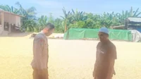 WhatsApp Image 2025-10-24 at 11.41.48_result Sinergi Polisi dan Petani Jaga Pasokan Jagung di Lombok Barat