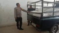 Polisi Turun ke Ladang, Pastikan Jagung Petani Lembar Terserap BULOG