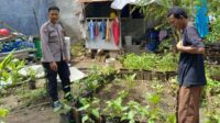 8d7112b1-1db0-4dff-ba80-62e228cc8d47 Polisi Dampingi Warga Perampuan Wujudkan Swasembada Pangan