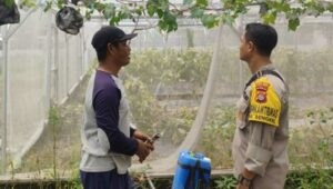 Polsek Labuapi Dorong Ketahanan Pangan di Desa Bengkel